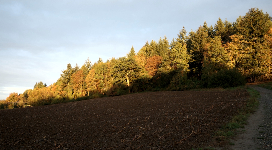 Blick nach Nordwesten