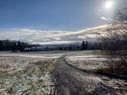 Die Natur um den Buchwald
