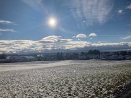 Die Natur um den Buchwald