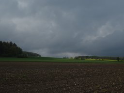 Frühling am Buchwald