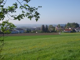 Frühling am Buchwald