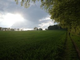 Frühling am Buchwald